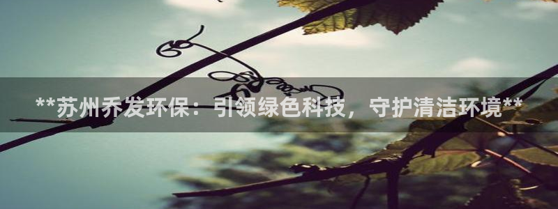 jdb电子维护到什么时候