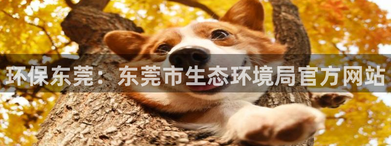 JDB电子官网平台