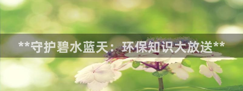 Jdb电子怎么赢不了