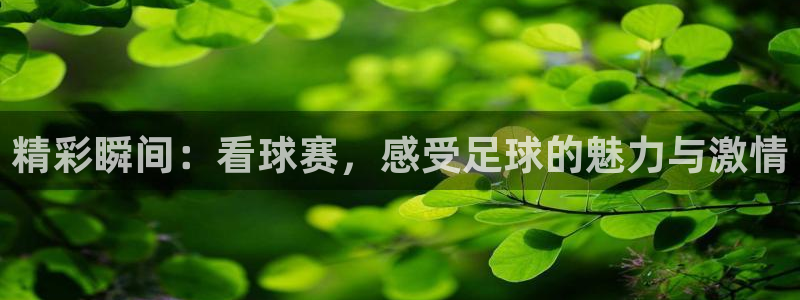 意昂平台登录方法：精彩瞬间：看球赛，