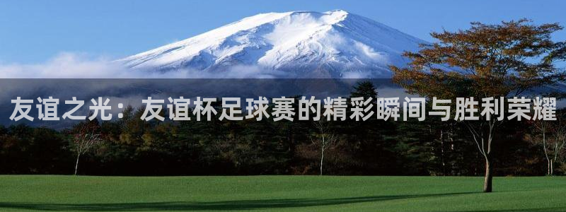  意昂官网入口登录：友谊之光：友谊杯足球赛的精彩瞬间与胜利荣耀