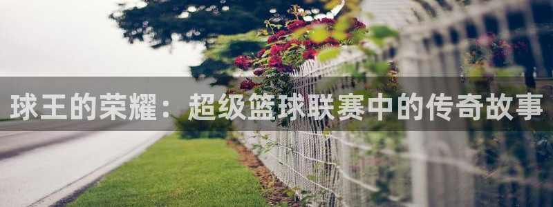  意昂体育app官方下载安装：球王的荣耀：超级篮球联赛中的传奇