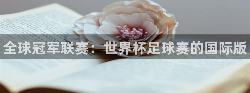 意昂体育app下载安装官网：全球冠军联赛：世界杯足球赛的国际