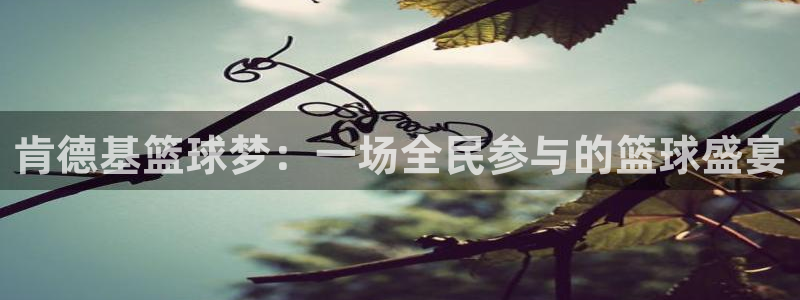 意昂平台登录入口最新版本介绍：肯德基篮球梦：一场全民参与的篮