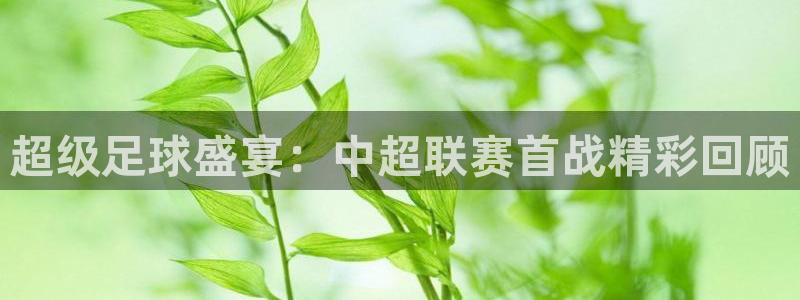 意昂登录：超级足球盛宴：中超联赛首战精彩回顾