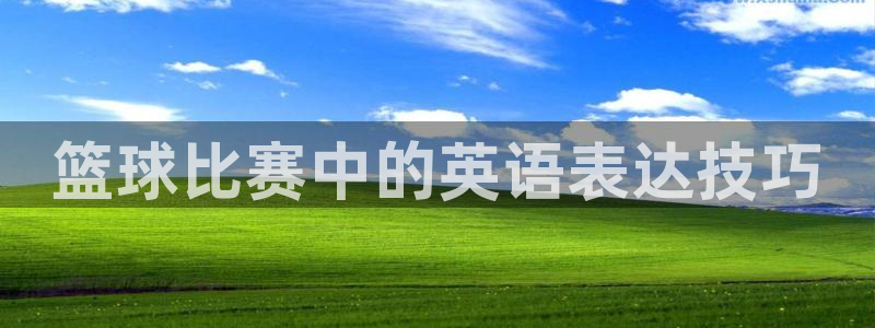 意昂平台登录入口2025：篮球比赛中的英语表达技巧