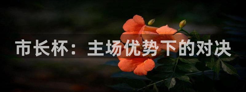 意昂体育app正版下载官网：市长杯：