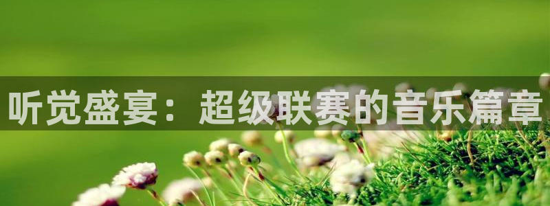  意昂登录：听觉盛宴：超级联赛的音乐篇章