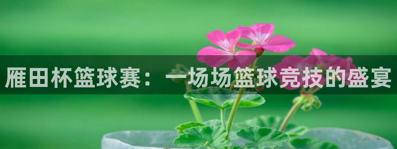 意昂平台登录方法：雁田杯篮球赛：一场