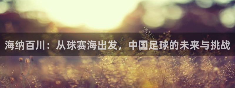  意昂体育是正规平台的吗：海纳百川：从球赛海出发，中国足球的未