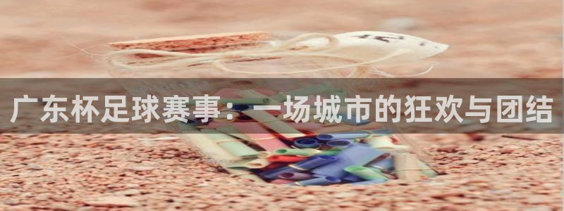 意昂平台登录入口最新版本介绍：广东杯