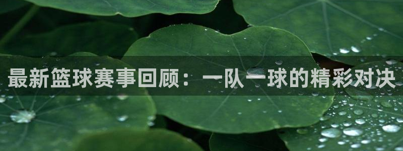  意昂体育app官方下载安装：最新篮球赛事回顾：一队一球的精彩