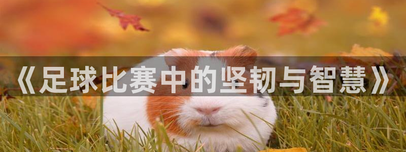 意昂平台：《足球比赛中的坚韧与智慧》