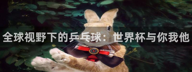意昂官网注册平台：全球视野下的乒乓球