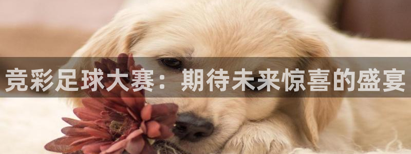 意昂注册：竞彩足球大赛：期待未来惊喜