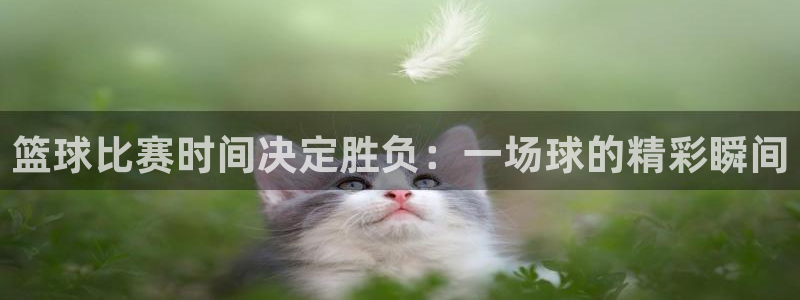  意昂平台官网：篮球比赛时间决定胜负：一场球的精彩瞬间