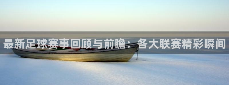 意昂体育网页登录入口入口官网网页版：