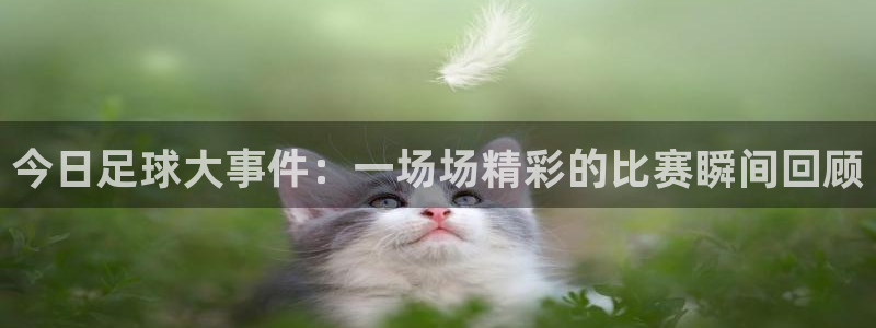  意昂平台官网：今日足球大事件：一场场精彩的比赛瞬间回顾