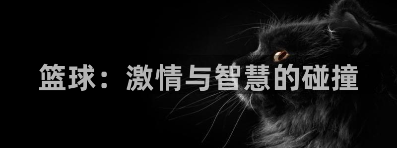 意昂体育app下载安装官网：篮球：激