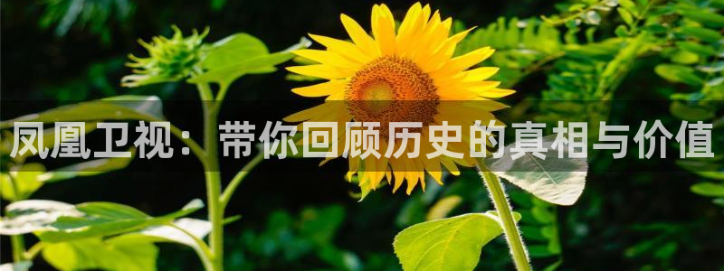 山猫体育：凤凰卫视：带你回顾历史的真相与价值